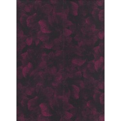 Rosella Flower Fuchsia