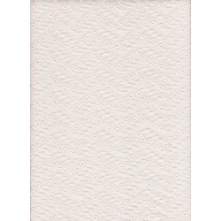 Broderie batista écrue