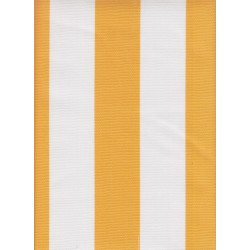 Sunny - Rayé jaune 5/5