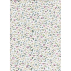 Double gaze Baby flower