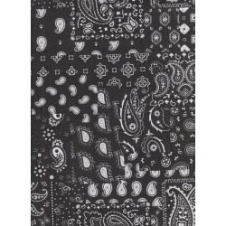 Bandana Farwest Black