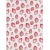 Toile imprimée 100% coton