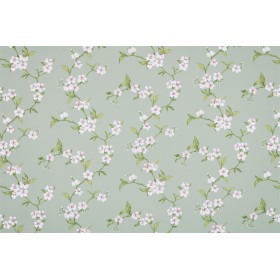toile cirée