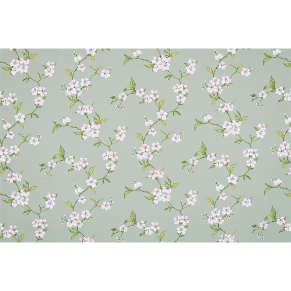 toile cirée