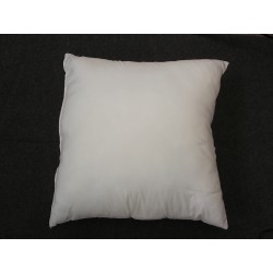 Coussin 50x50