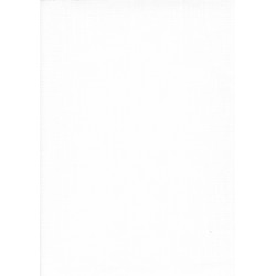 TOILE LIN ENDUITE BLANC