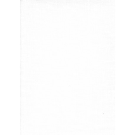 TOILE LIN ENDUITE BLANC