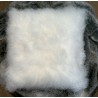 Coussin cachemire