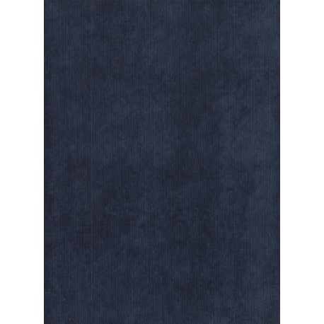 Velours - milleraies navy