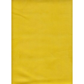 Alaska - cANARD 1 CURCUMA