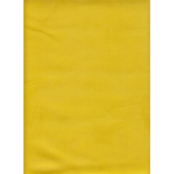 Alaska - cANARD 1 CURCUMA