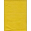 Alaska - cANARD 1 CURCUMA