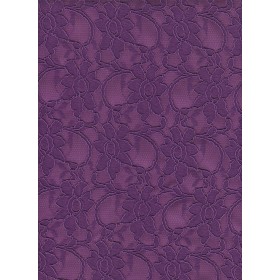 Dentelle violet