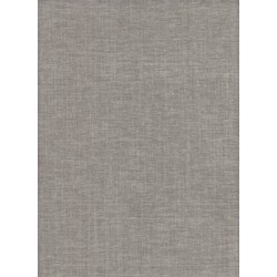 Rober - Gris