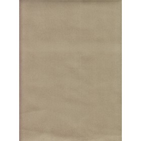 Alaska - sable-beige