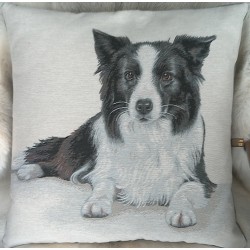 Coussin - Border Collie