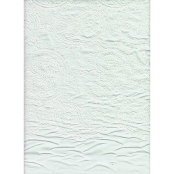 Evy coton brodé blanc