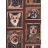 Portrait Chien