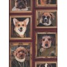 Portrait Chien