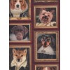 Portrait Chien