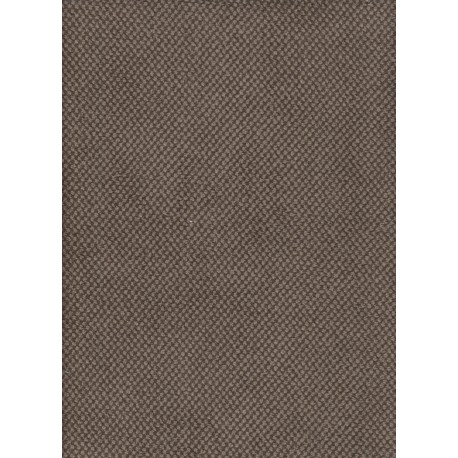 Trévor Taupe