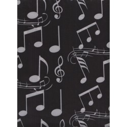 Notes musique