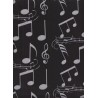 Notes musique