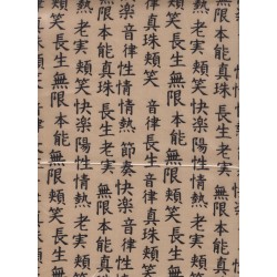 Texte japonais
