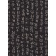 Texte japonais noir