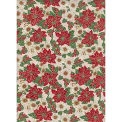 Poinsettia Blanc
