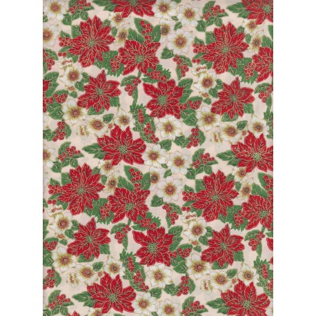 Poinsettia Blanc