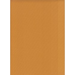 bi-strech uni  Moutarde