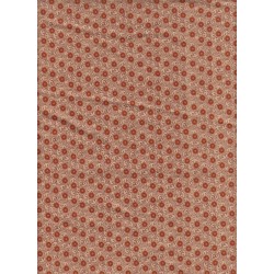 3447 O-Asters terracotta