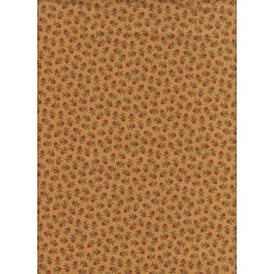 3449 Y Myosotis Ocre