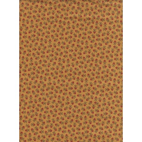 3449 Y Myosotis Ocre